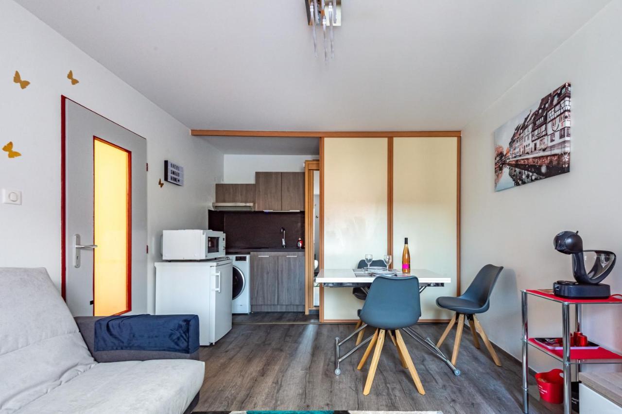 Halte De La Commanderie Apartment Colmar Luaran gambar